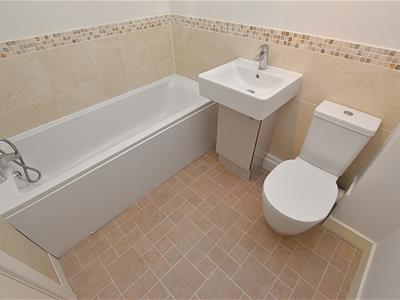 Picture 24